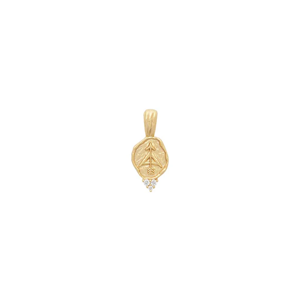 Zodiac Amulet Pendant - Image 15