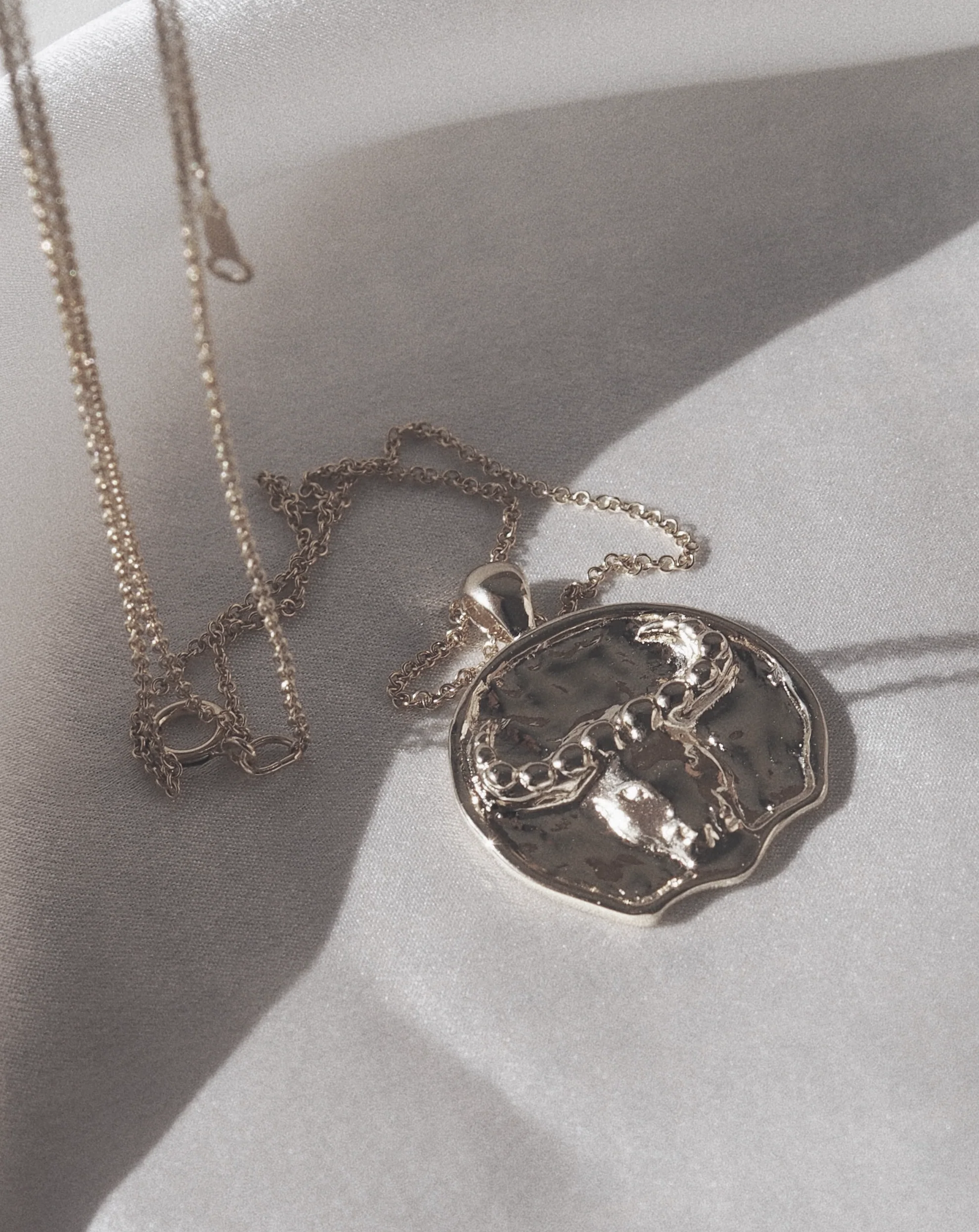 Large Zodiac II Pendant - Sterling Siver - Image 5